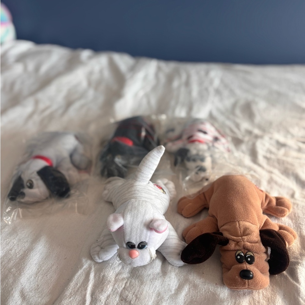 Lot Of Pound Puppies. 4 Puppies 1 Cat.